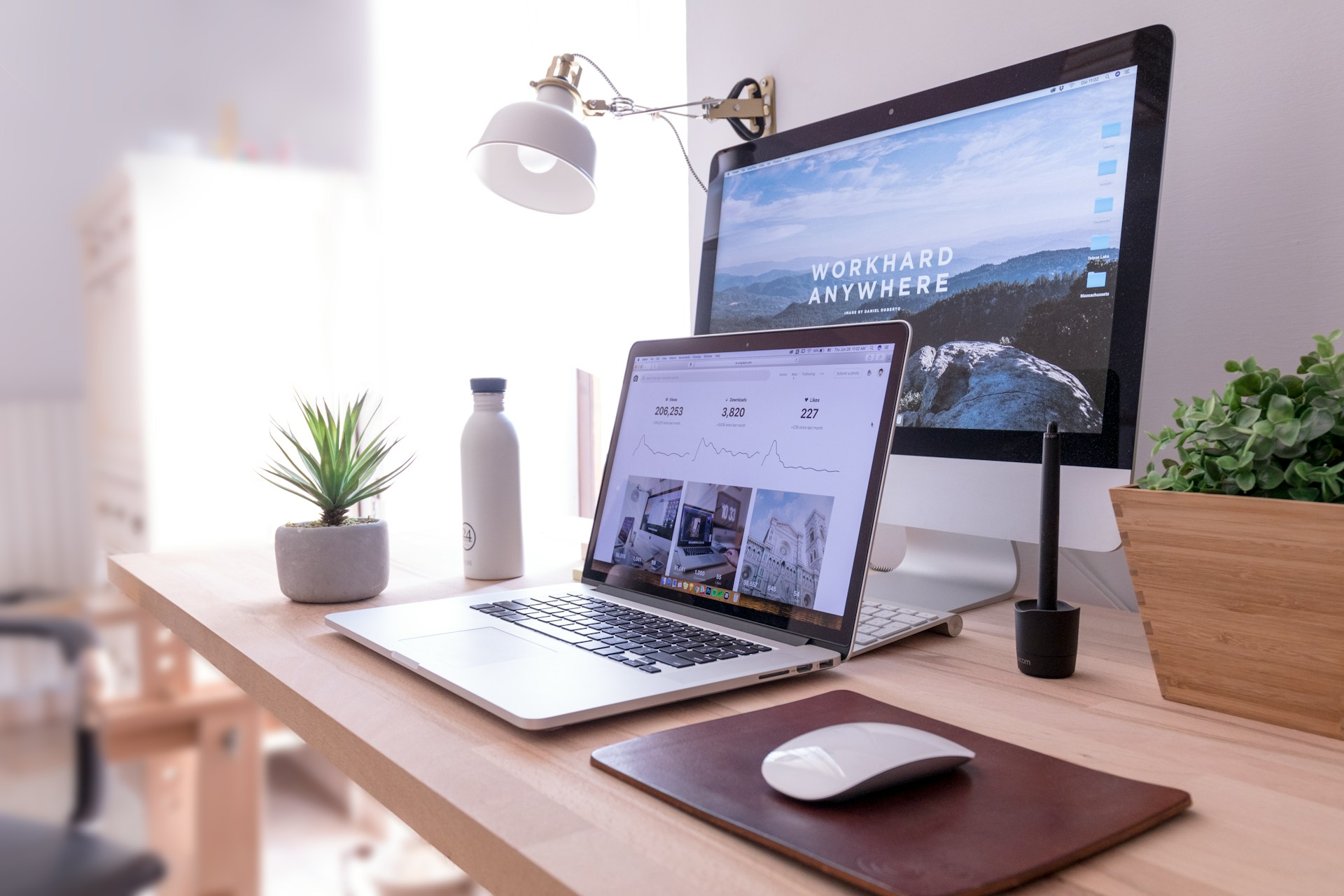 WordPress Website Developer in India