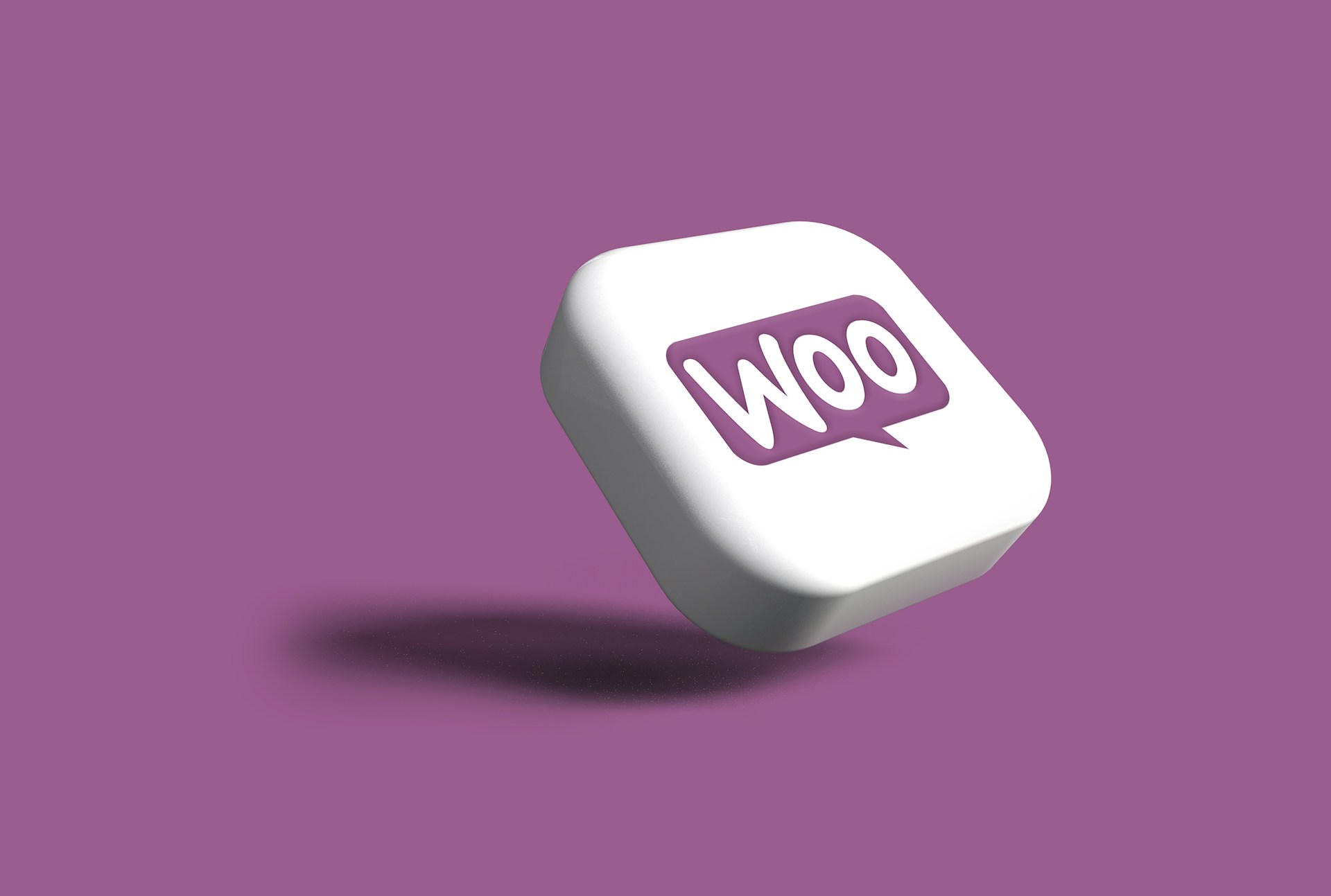 WordPress Website Developer in India