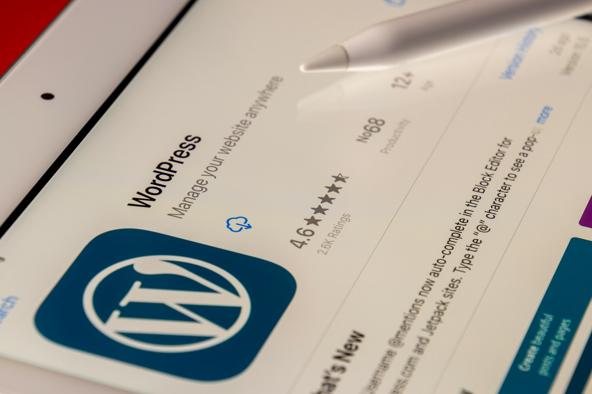 WordPress Website Developer in India