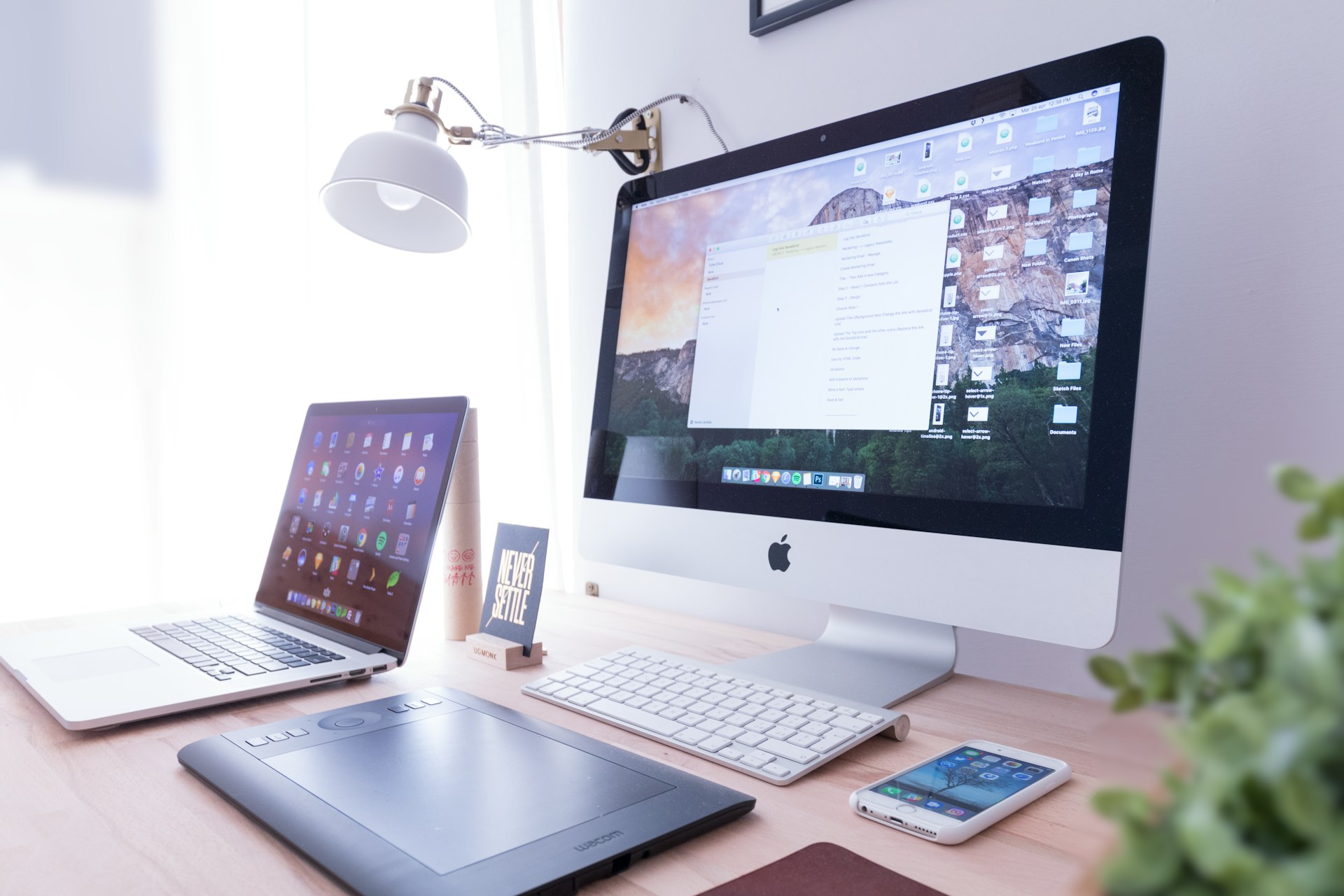 WordPress Website Developer in India